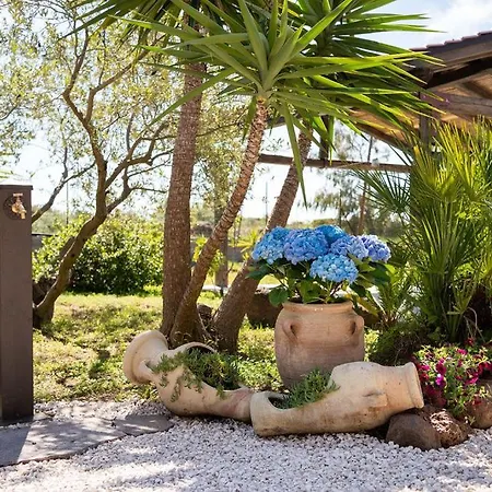 Orgoi, Immersa Nel Holiday home