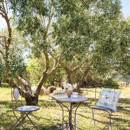 Orgoi, Immersa Nel Holiday home *